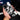 Akira Ignition - Techbeast Skins